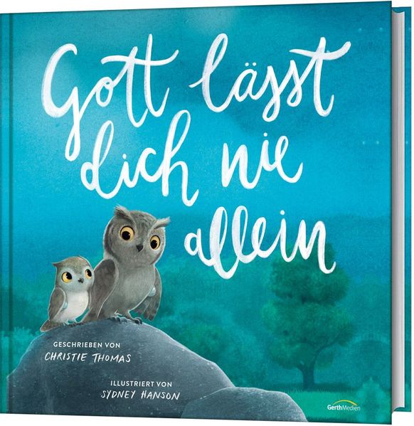 Cover von Die kleine Eule entdeckt Weihnachten