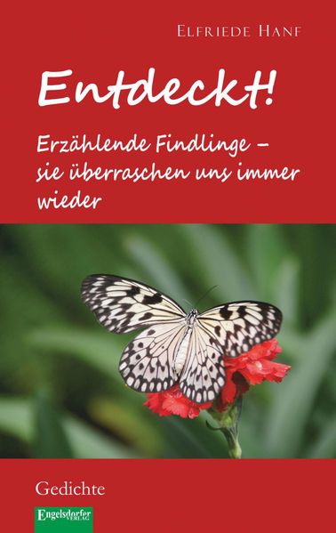 Cover von Entdeckt! Erzählende Findlinge – sie überraschen uns immer wieder