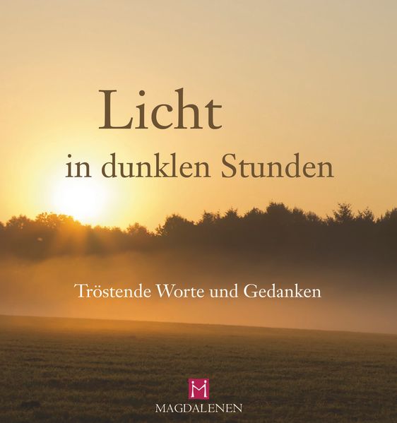 Cover von Licht in dunklen Stunden