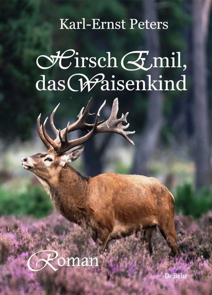 Cover von Hirsch Emil, das Waisenkind