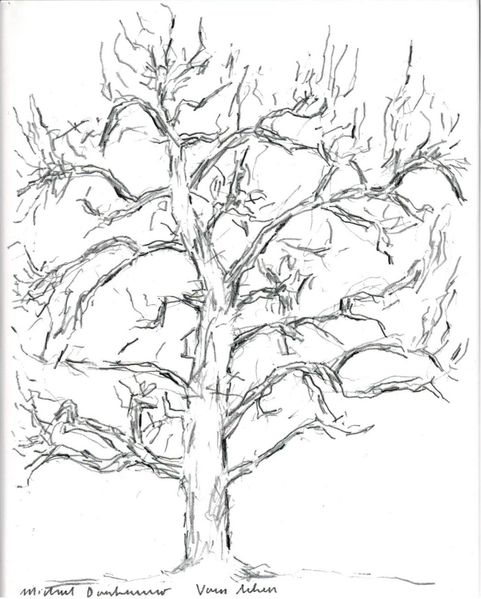 Cover von Vom Sehen