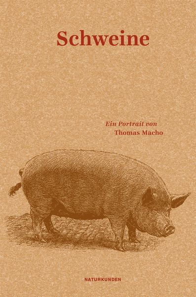 Cover von Schweine