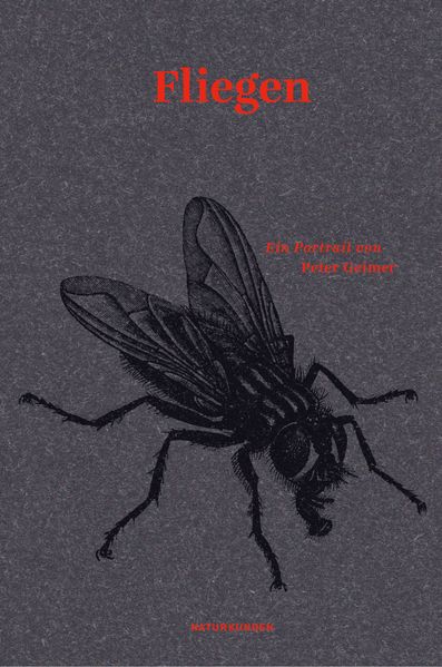 Cover von Fliegen