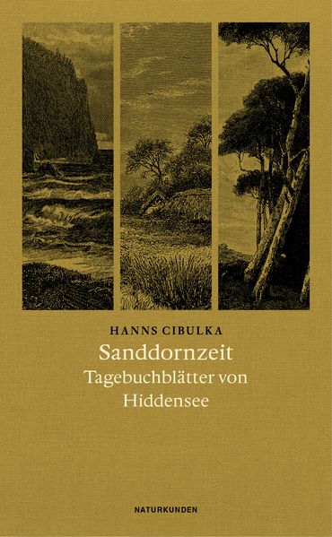 Cover von Sanddornzeit
