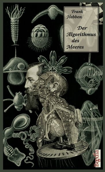 Cover von Der Algorithmus des Meeres