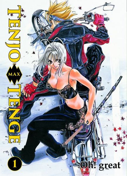 Cover von Tenjo Tenge Max