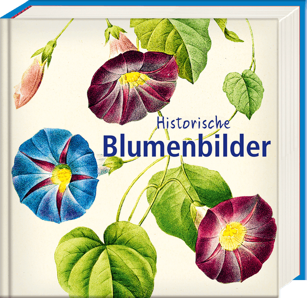 Cover von Historische Blumenbilder