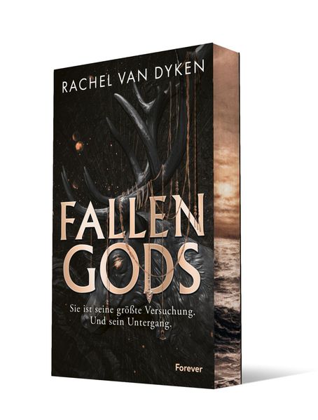 Cover von Fallen Gods (Fallen Gods 1)