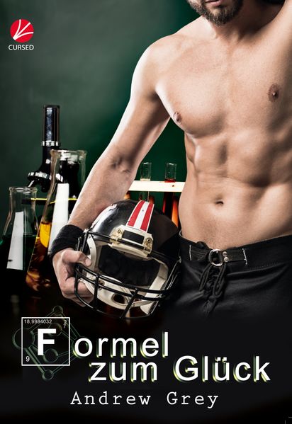 Cover von Formel zum Glück