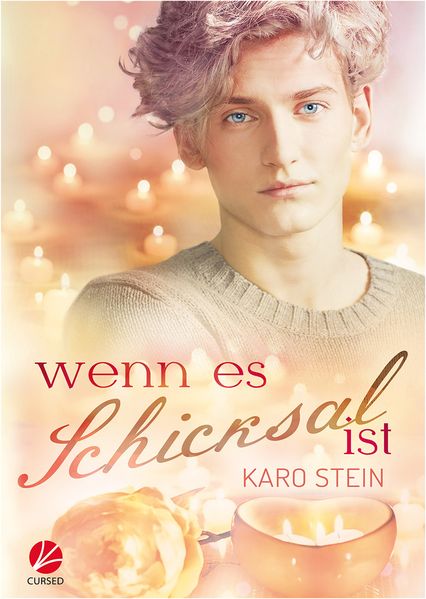 Cover von Wenn es Schicksal ist