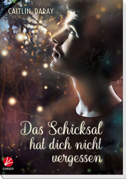 Cover von Das Schicksal hat dich nicht vergessen