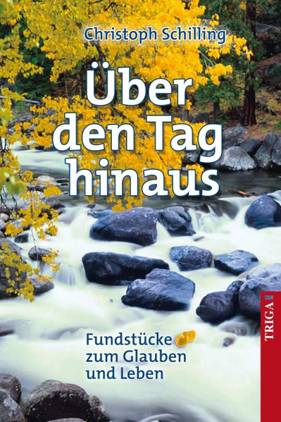 Cover von Über den Tag hinaus