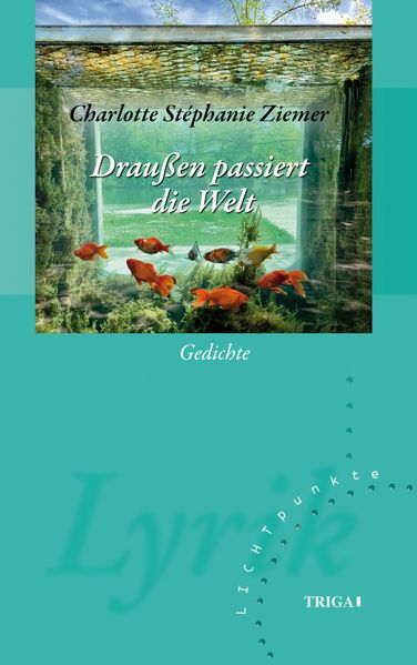 Cover von Draußen passiert die Welt