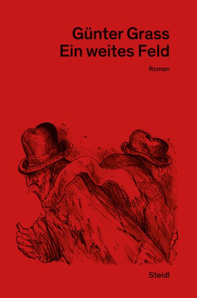 Cover von Ein weites Feld
