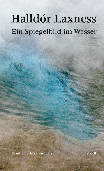 Cover von Ein Spiegelbild im Wasser. Sämtliche Erzählungen