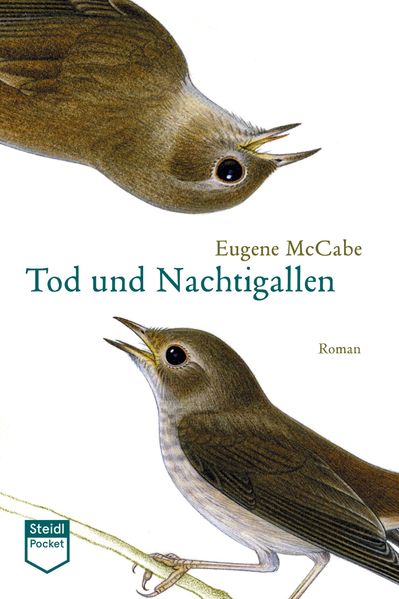 Cover von Tod und Nachtigallen (Steidl Pocket)