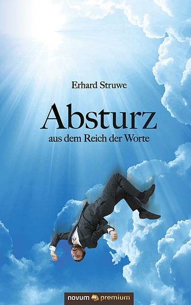 Cover von Absturz aus dem Reich der Worte