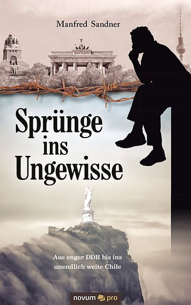 Cover von Sprünge ins Ungewisse