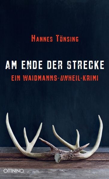 Cover von Am Ende der Strecke