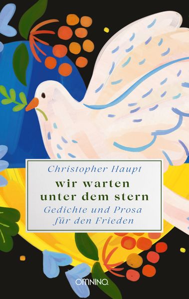 Cover von Wir warten unter dem Stern