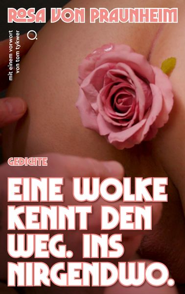 Cover von Eine Wolke kennt den Weg. Ins Nirgendwo