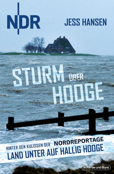 Cover von Sturm über Hooge