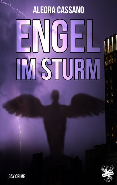 Cover von Engel im Sturm