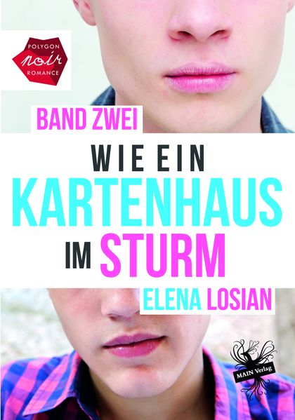Cover von Wie ein Kartenhaus im Sturm
