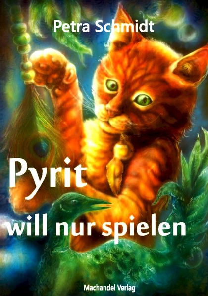 Cover von Pyrit will nur spielen