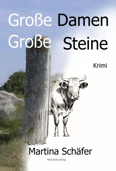 Cover von Große Damen, große Steine