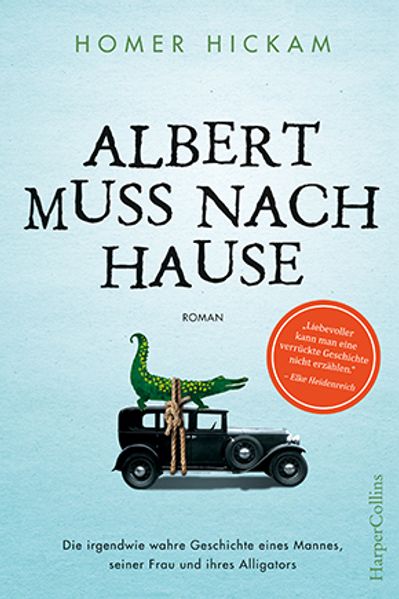 Cover von Albert muss nach Hause