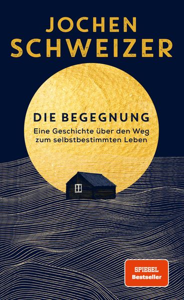Cover von Die Begegnung