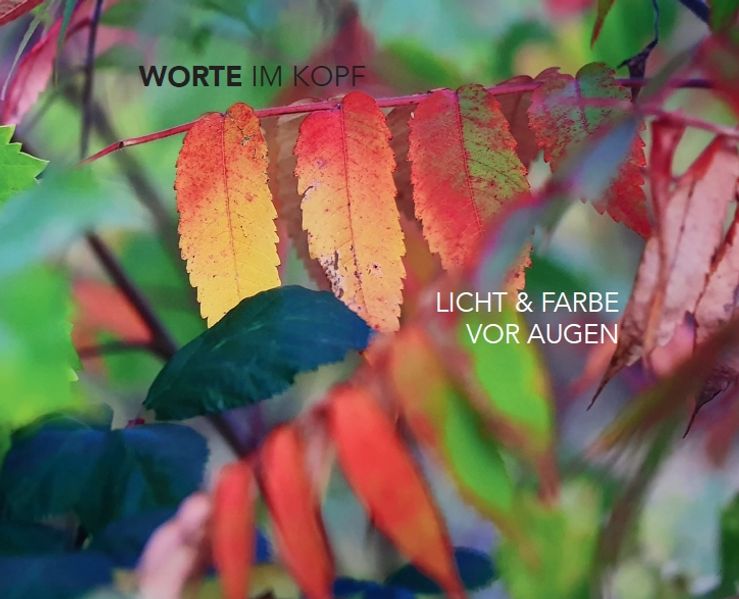 Cover von Worte im Kopf, Licht & Farbe vor Augen