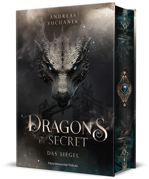 Cover von Dragons in Secret – Das Siegel