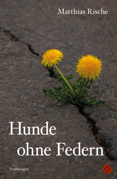 Cover von Hunde ohne Federn