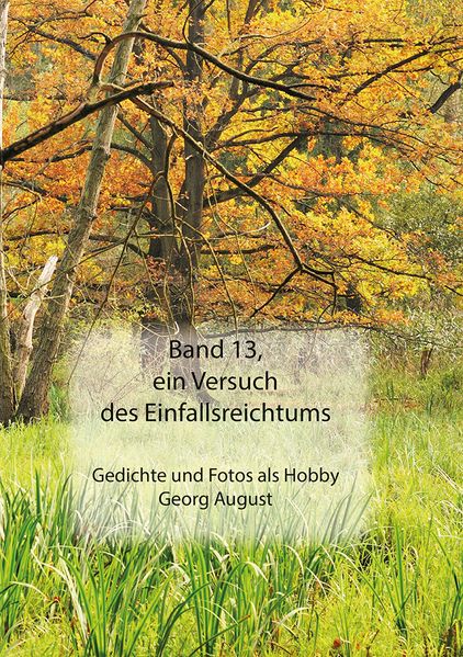 Cover von Band 13, ein Versuch des Einfallsreichtums