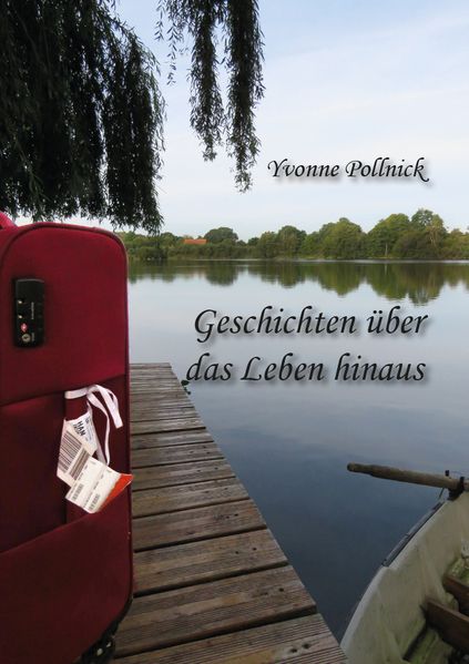 Cover von Geschichten über das Leben hinaus