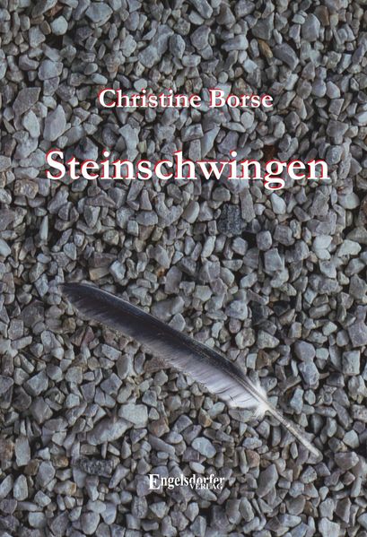 Cover von Steinschwingen
