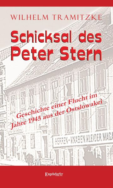 Cover von Schicksal des Peter Stern