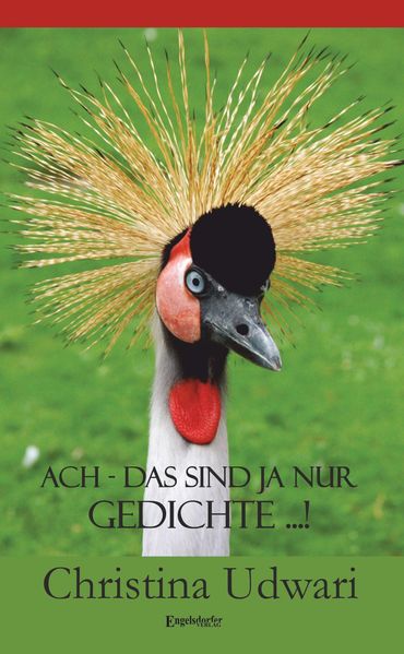 Cover von Ach – das sind ja nur Gedichte …!