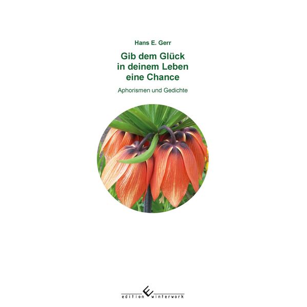 Cover von Gib dem Glück in deinem Leben eine Chance