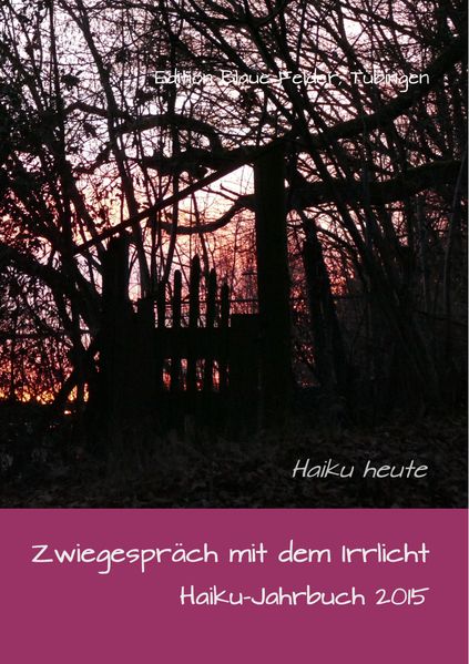 Cover von Zwiegespräch mit dem Irrlicht