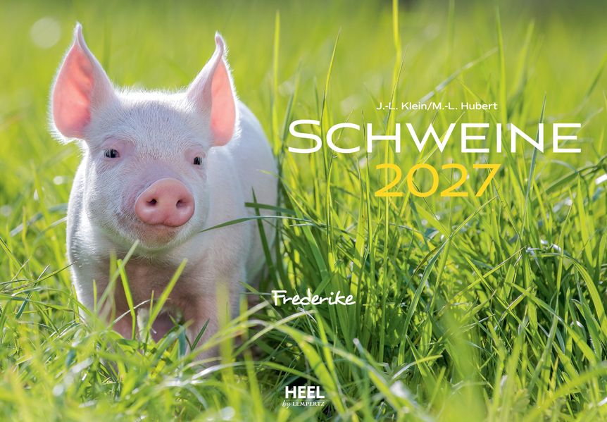 Cover von Schweine Kalender 2027