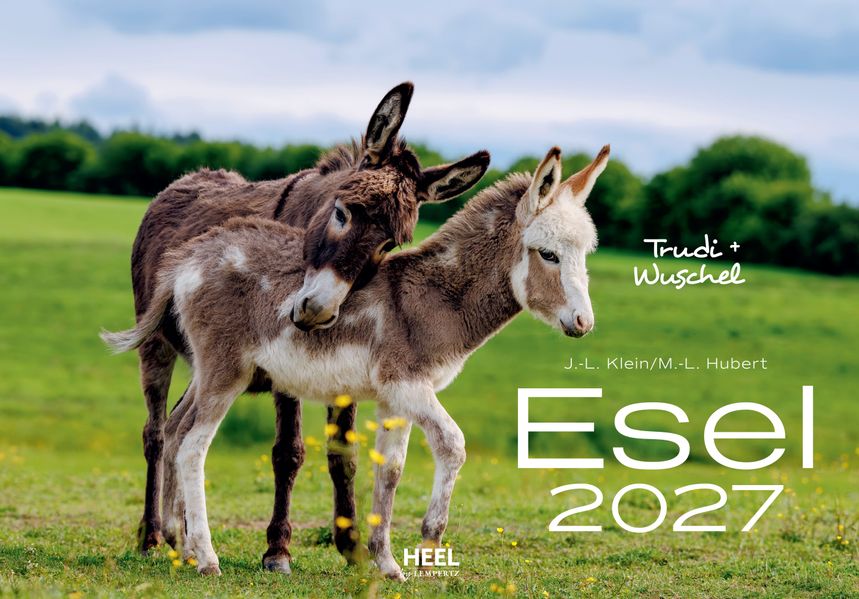 Cover von Esel Kalender 2027