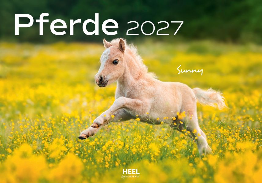 Cover von Pferde Kalender 2027 Wandkalender