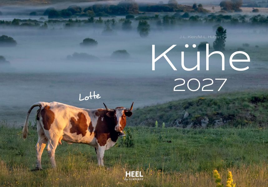 Cover von Kühe Kalender 2027 Wandkalender