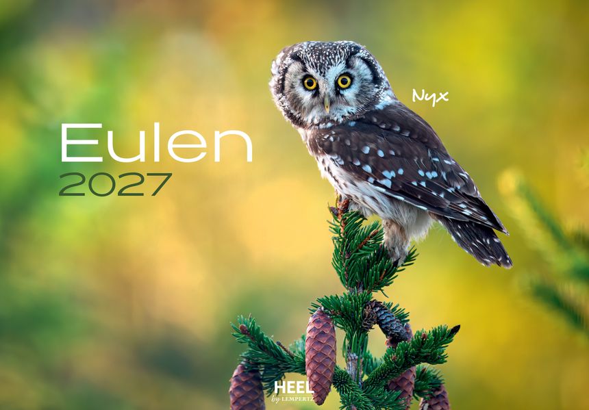 Cover von Eulen Kalender 2027