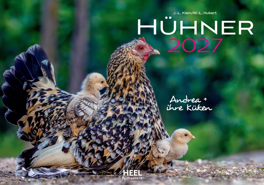 Cover von Hühner Kalender 2027