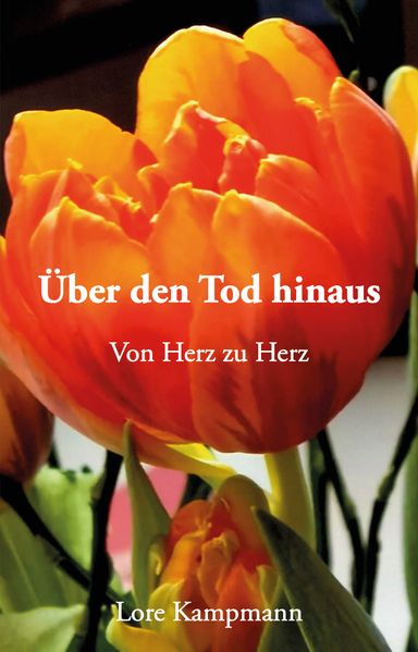 Cover von Über den Tod hinaus