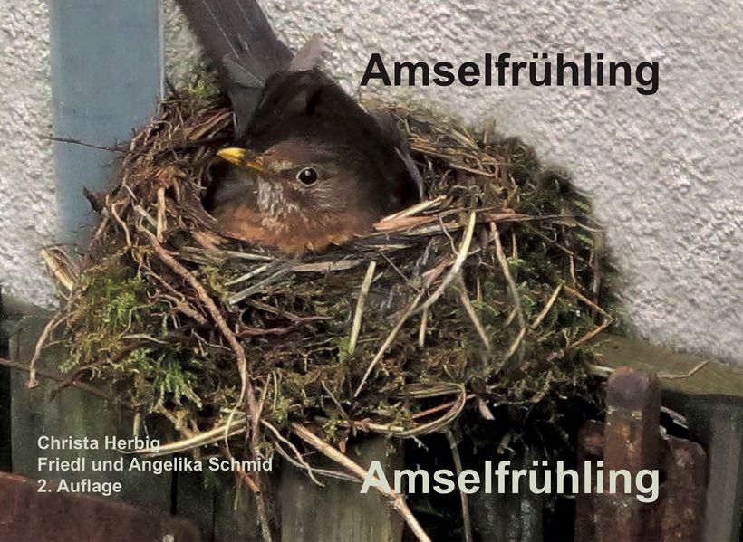 Cover von Amselfrühling